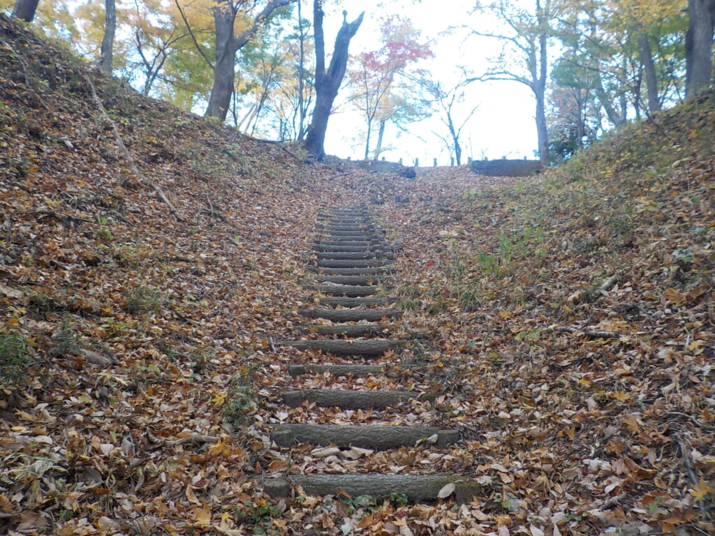 遠刈田公園遊歩道