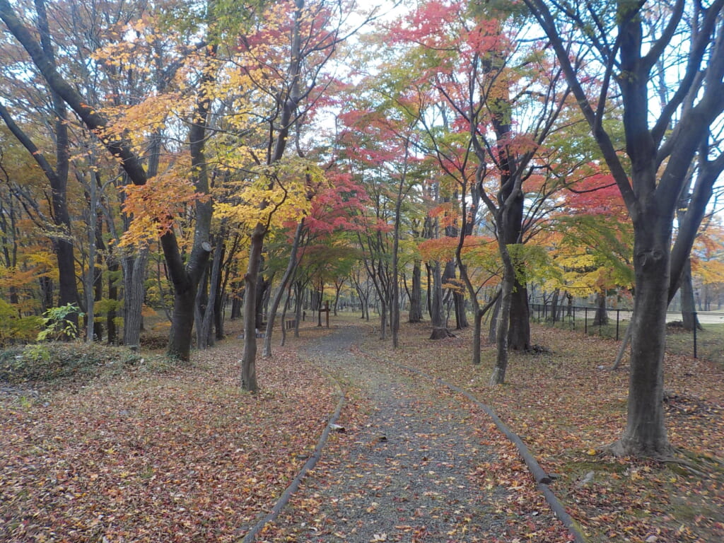 遠刈田公園の展望広場園路