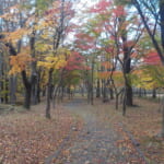 【画像】緑豊かな公園から蔵王連峰を眺望!!　【キャンプで訪ねるみちのくの名湯　vol.06　遠刈田温泉＆遠刈田公園】 〜 画像1