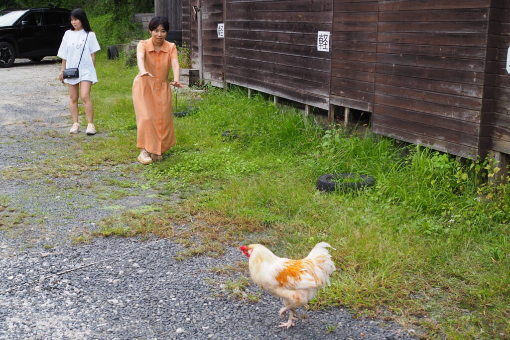 姫乃たまのスイーツサイクリング