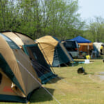 テントが並ぶ混雑したキャンプ場