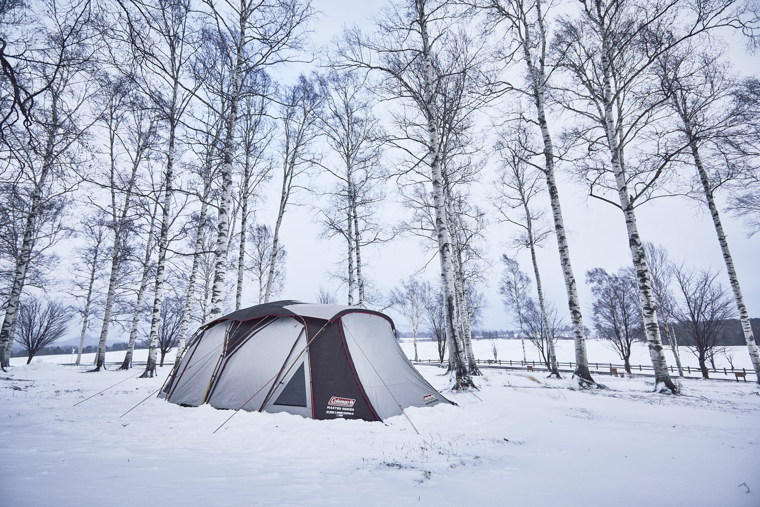 Colemanコールマン寝袋マミー型シュラフ赤2個セットペア