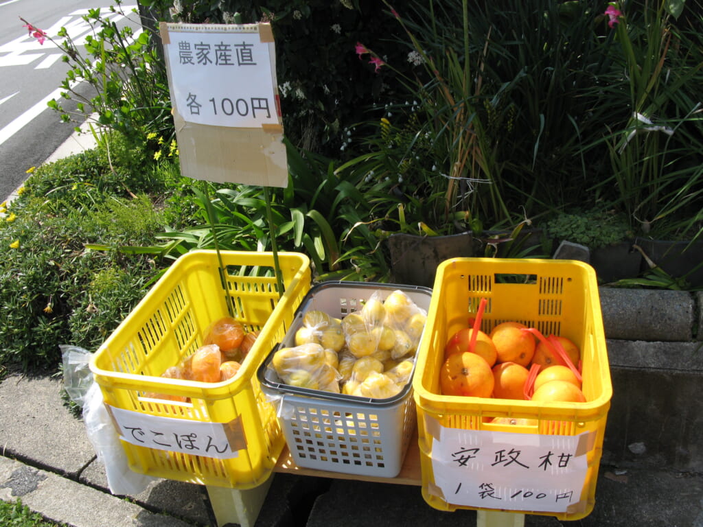 とびしま海道_柑橘無人販売イメージ