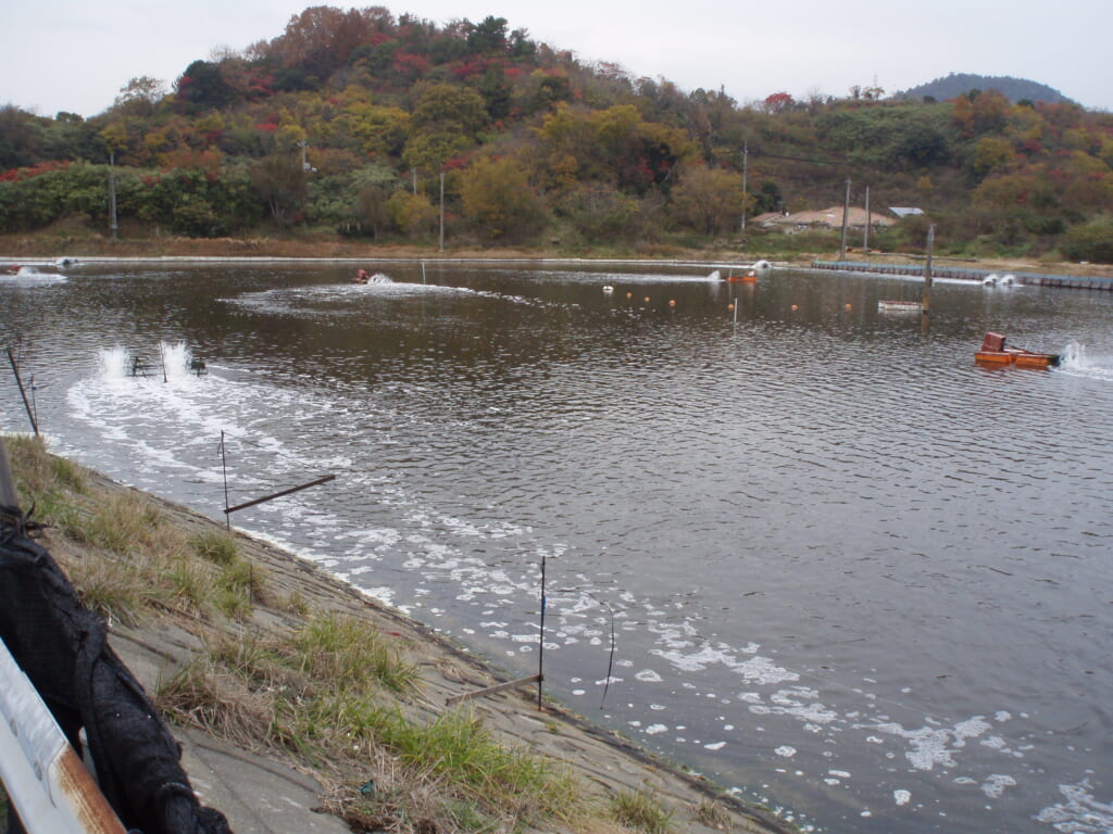 生名島の養殖場