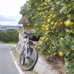 【画像】橋で繋がれた島々を自転車に乗ったまま走破！　しまなみ海道サイクリング【vol.08   番外編②：ゆめしま海道】 〜 画像1