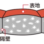 【画像】800フィルパワーのEXダウンがあったか！　素早く汗を蒸発させる着心地抜群の「ダウンパーカ」が手放せない 〜 画像1
