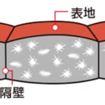 【画像】800フィルパワーのEXダウンがあったか！　素早く汗を蒸発させる着心地抜群の「ダウンパーカ」が手放せない 〜 画像1