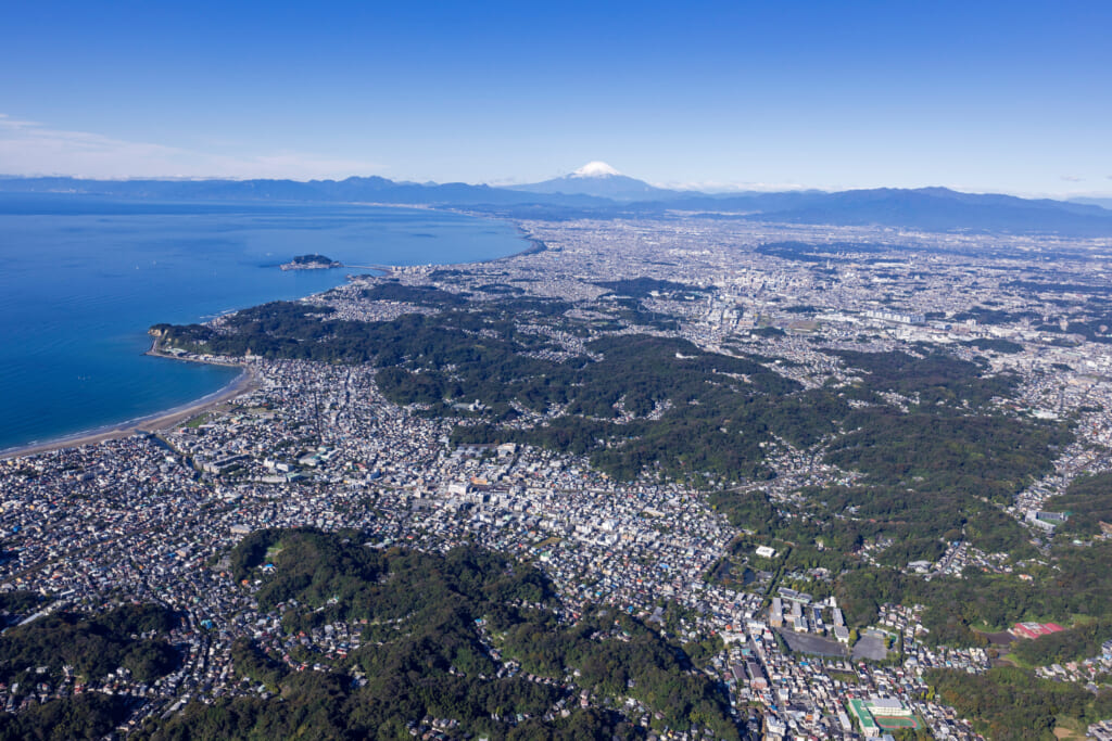 もしもにつよいわたしになる！　もしかま2024