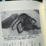 【画像】「衝撃のアウトドア本」発掘レビュー！　STRANGE OUTDOORE BOOK　vol.08『無人島、不食130日』 〜 画像1