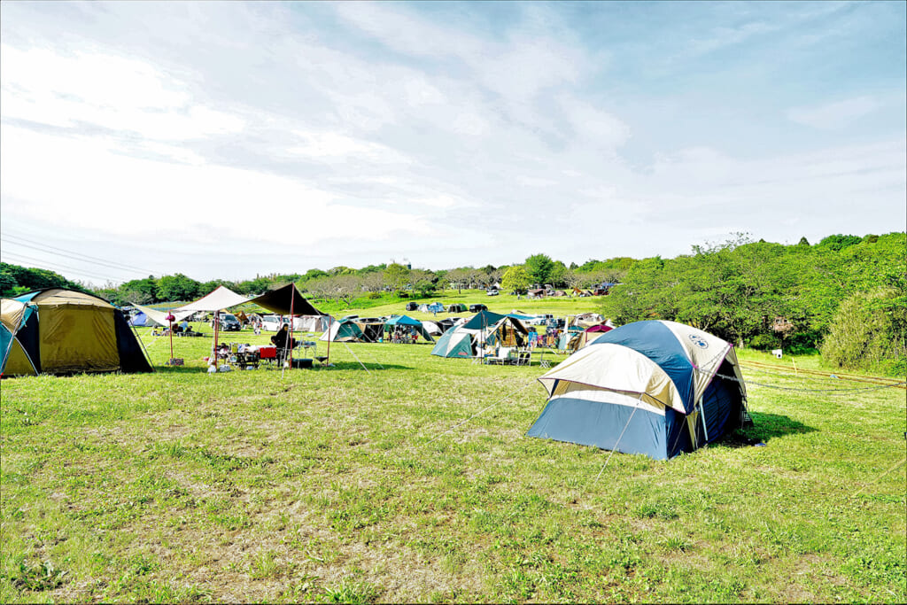 テントが並んだキャンプサイト