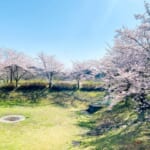 【画像】「お花見キャンプ」の準備はお早めに！　「オーパークおごせ」が桜に囲まれた貸切キャンプサイトの予約を受付中 〜 画像1