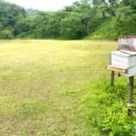 【画像】採れたてどじょうをキャンプ場で食べてみよう！ 　島根県安来市の「格安＆無料キャンプ場」2選 〜 画像1