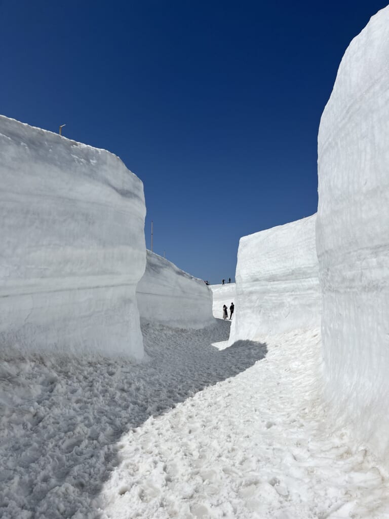 2024 立山黒部・雪の大谷フェスティバル　2nd STAGE