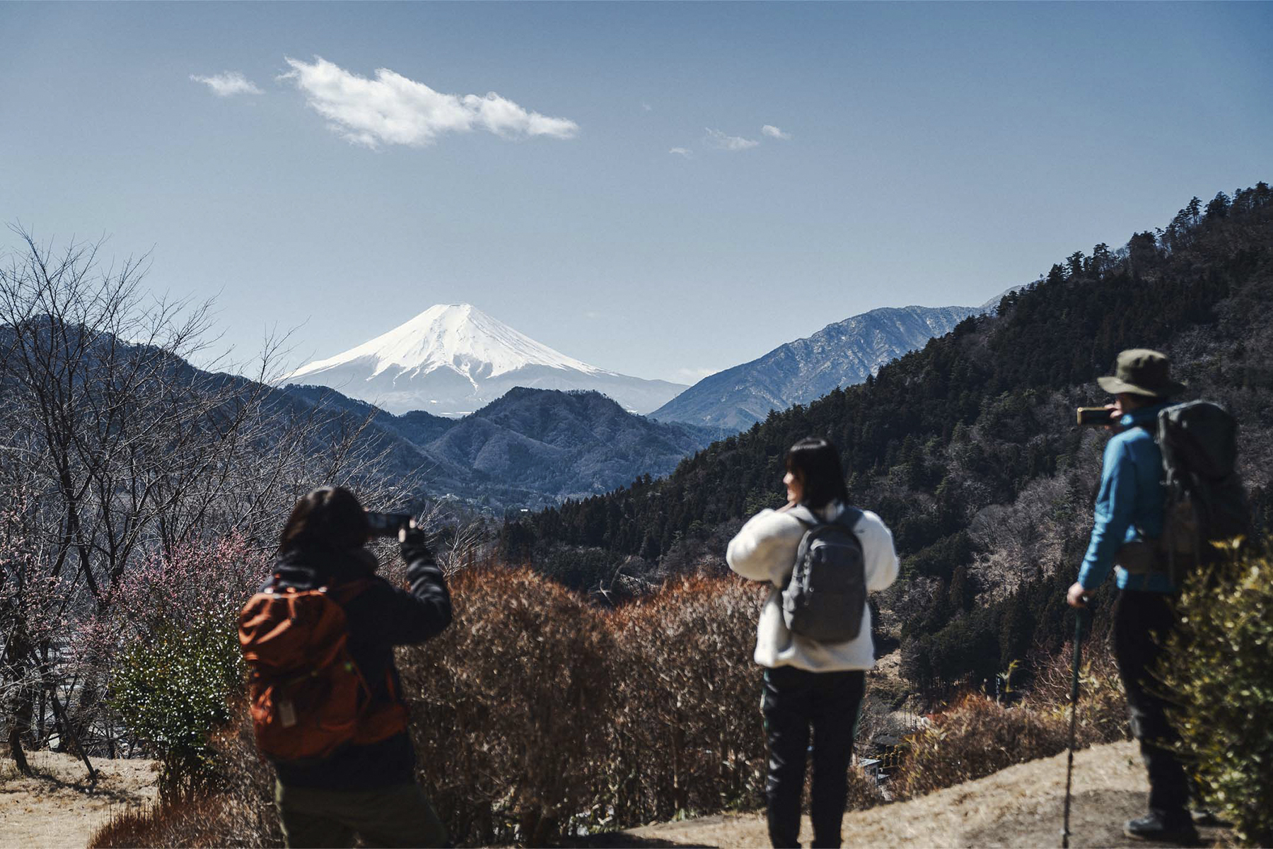 「秀麗富嶽十二景・お伊勢山」から望む富士山