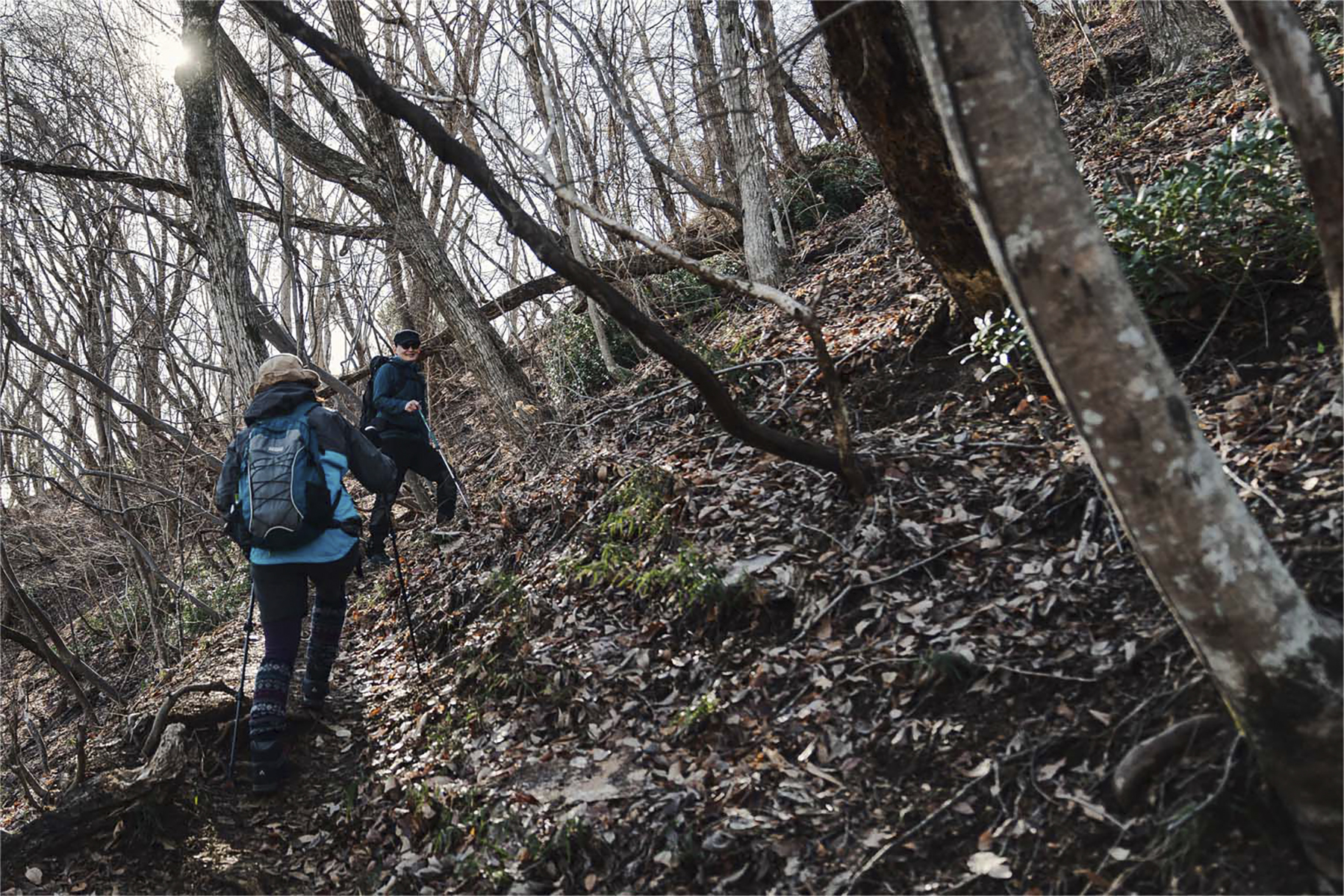 岩殿山の登山シーン