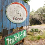 フォレストパーティー峰山