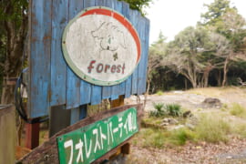 フォレストパーティー峰山