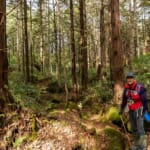 【画像】錦秋彩る美しき秘境の森！　乗鞍山麓「五色ヶ原」でキャンプ＋トレッキング【前編】 〜 画像1