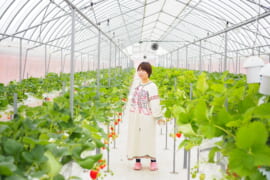 いちごの大森ファーム 姫乃たまといちご