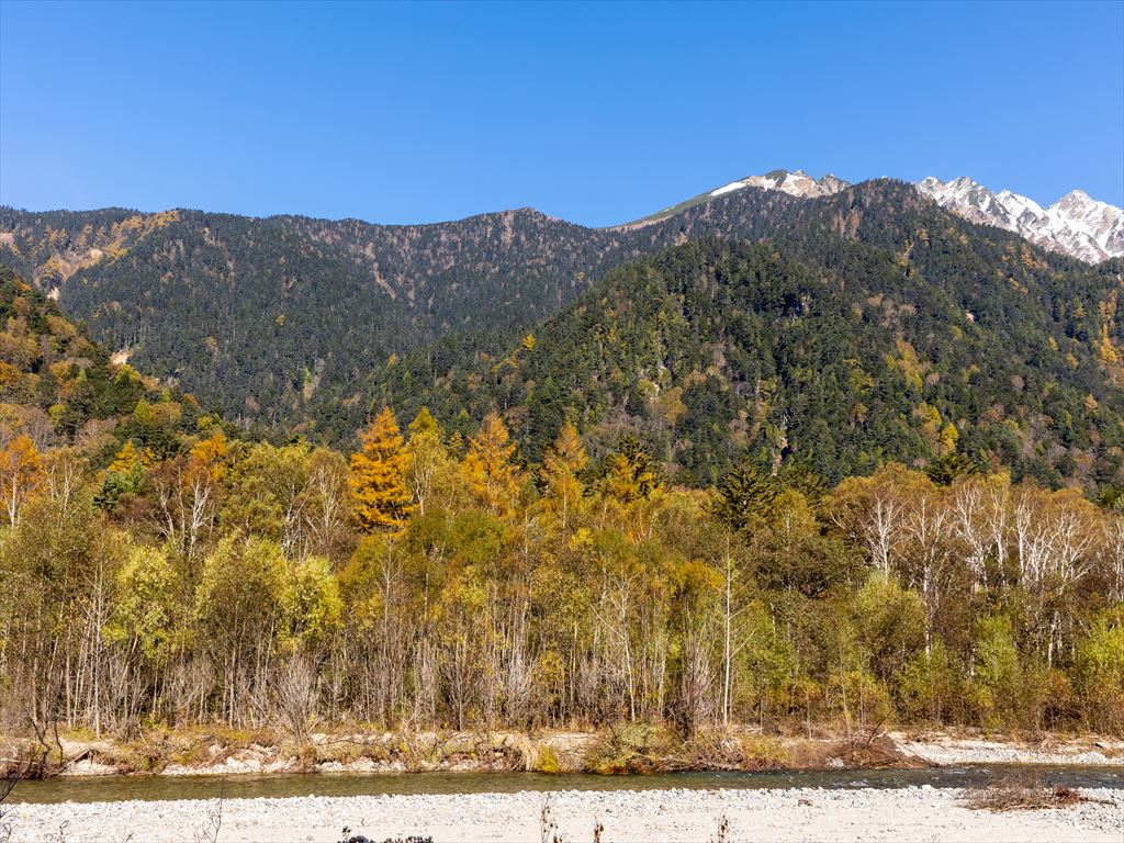 黄葉と山