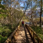 【画像】キャンプと温泉も堪能！　秋景色広がる憧れの上高地日帰りハイキング【前編】 〜 画像1