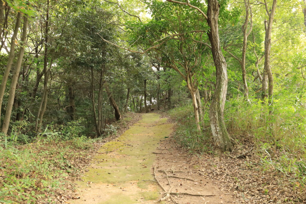 登山道