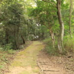 【画像】山陰の低山で「日本」と「世界」の絶景を制す？　　市街地からすぐなのに一大パノラマ「社日山縦走ルポ・前編」【中国・島根県安来市】 〜 画像1