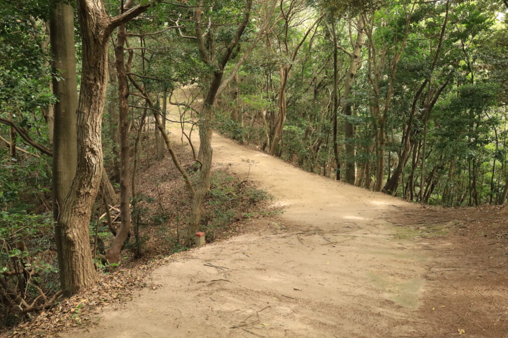 登山道／ゆるやかな勾配