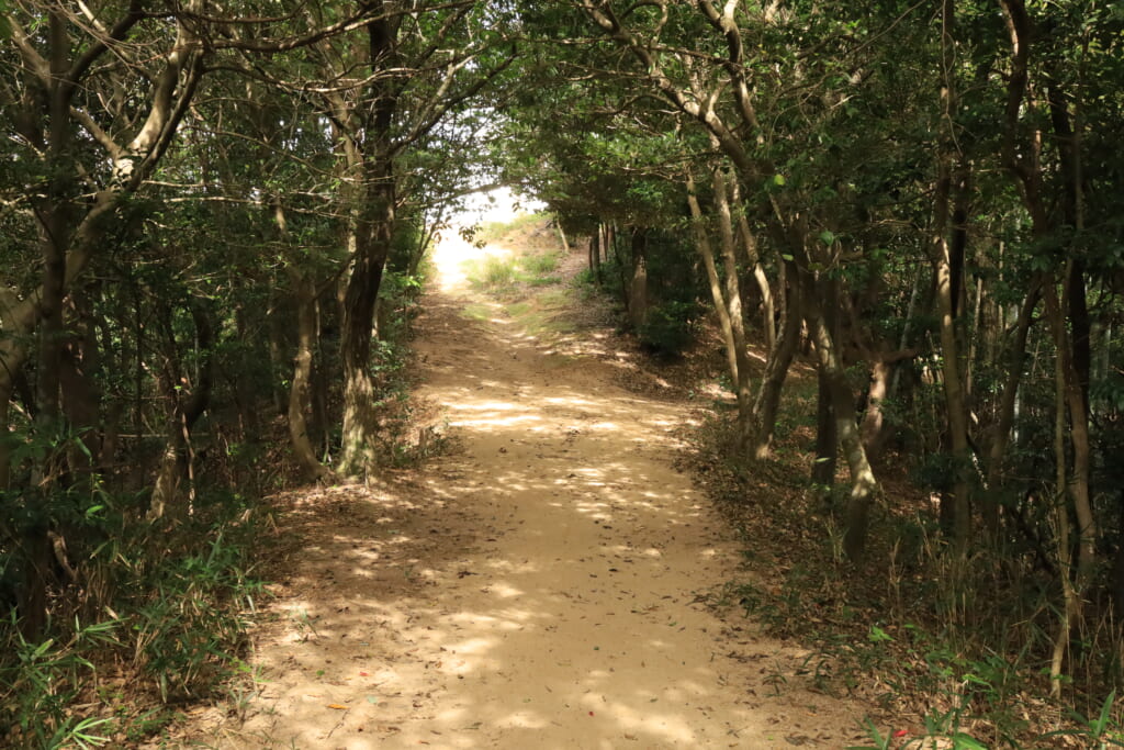 登山道／日本台の分岐