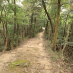 【画像】雄大な絶景のあとはまさかの断崖！　低山でも山の楽しみが満載の社日山縦走ルポ・後編【中国・島根県安来市】 〜 画像1