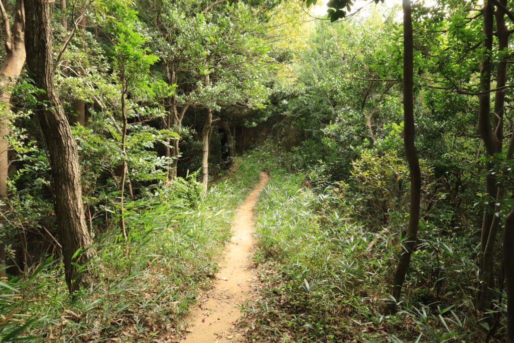 登山道／細い道