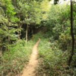 【画像】雄大な絶景のあとはまさかの断崖！　低山でも山の楽しみが満載の社日山縦走ルポ・後編【中国・島根県安来市】 〜 画像1