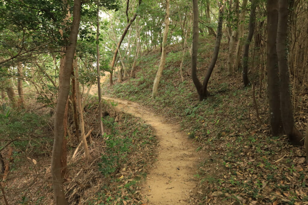 登山道／九十九折