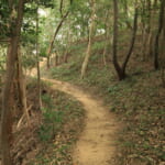 【画像】雄大な絶景のあとはまさかの断崖！　低山でも山の楽しみが満載の社日山縦走ルポ・後編【中国・島根県安来市】 〜 画像1