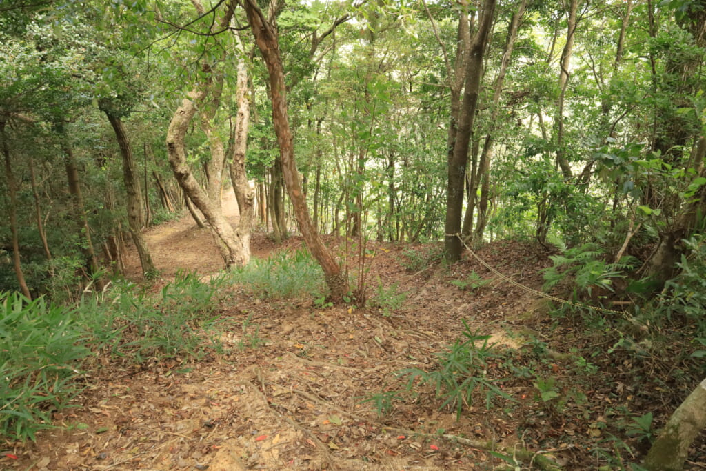 登山道／急な下り