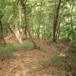 【画像】雄大な絶景のあとはまさかの断崖！　低山でも山の楽しみが満載の社日山縦走ルポ・後編【中国・島根県安来市】 〜 画像1