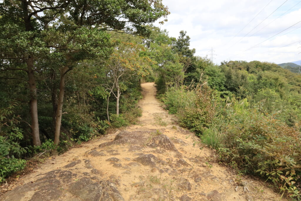 登山道からの大山