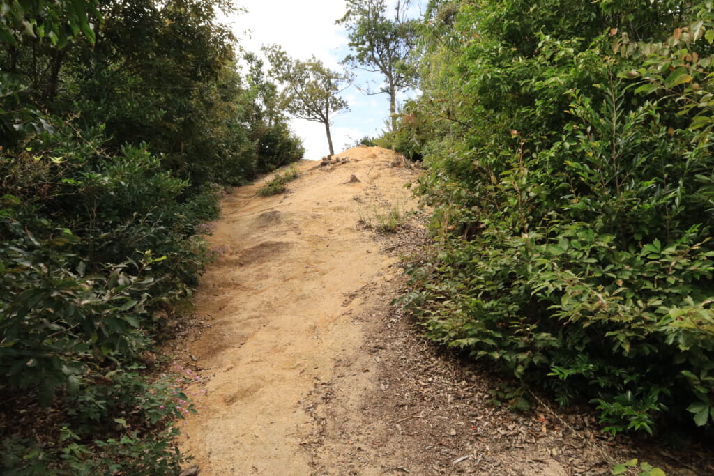 登山道／急斜面