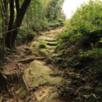 【画像】雄大な絶景のあとはまさかの断崖！　低山でも山の楽しみが満載の社日山縦走ルポ・後編【中国・島根県安来市】 〜 画像1