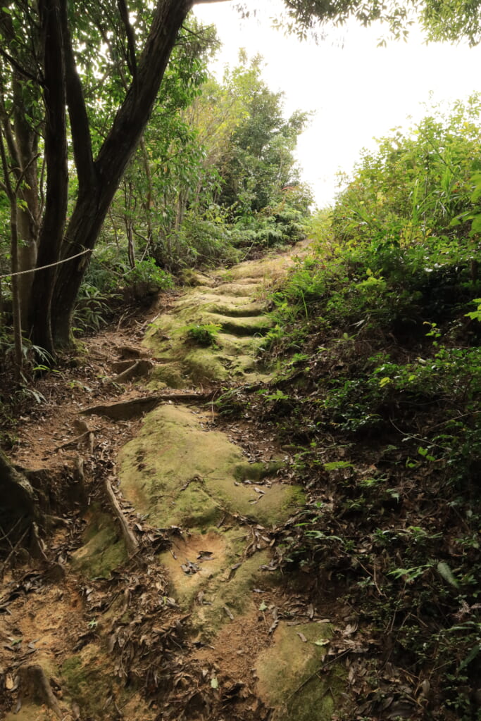 登山道／岩場の急斜面