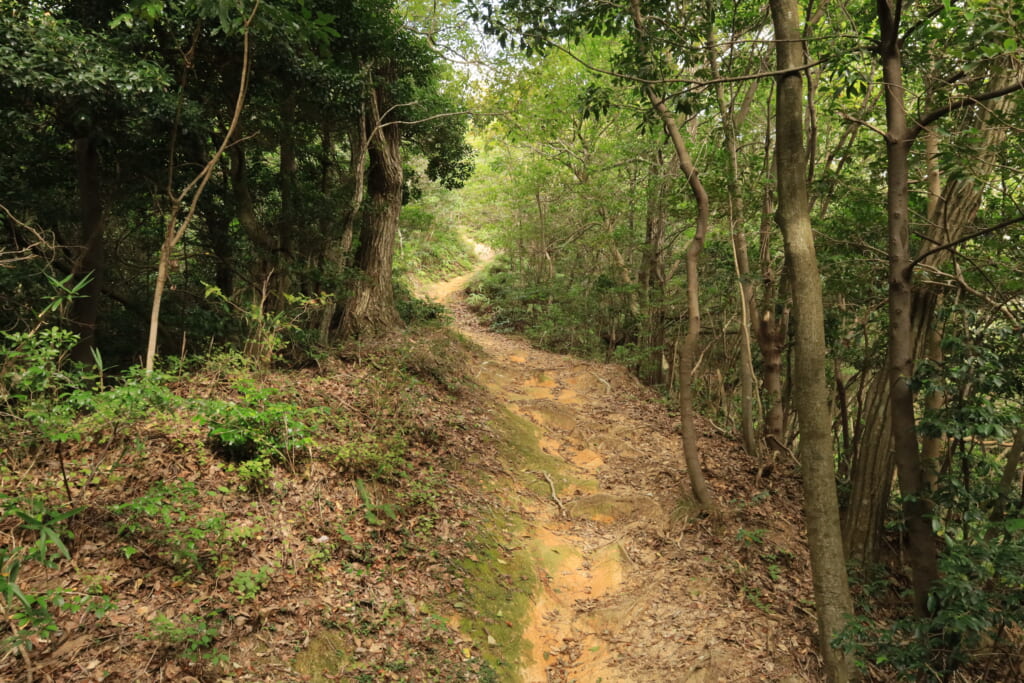 登山道／尾根道