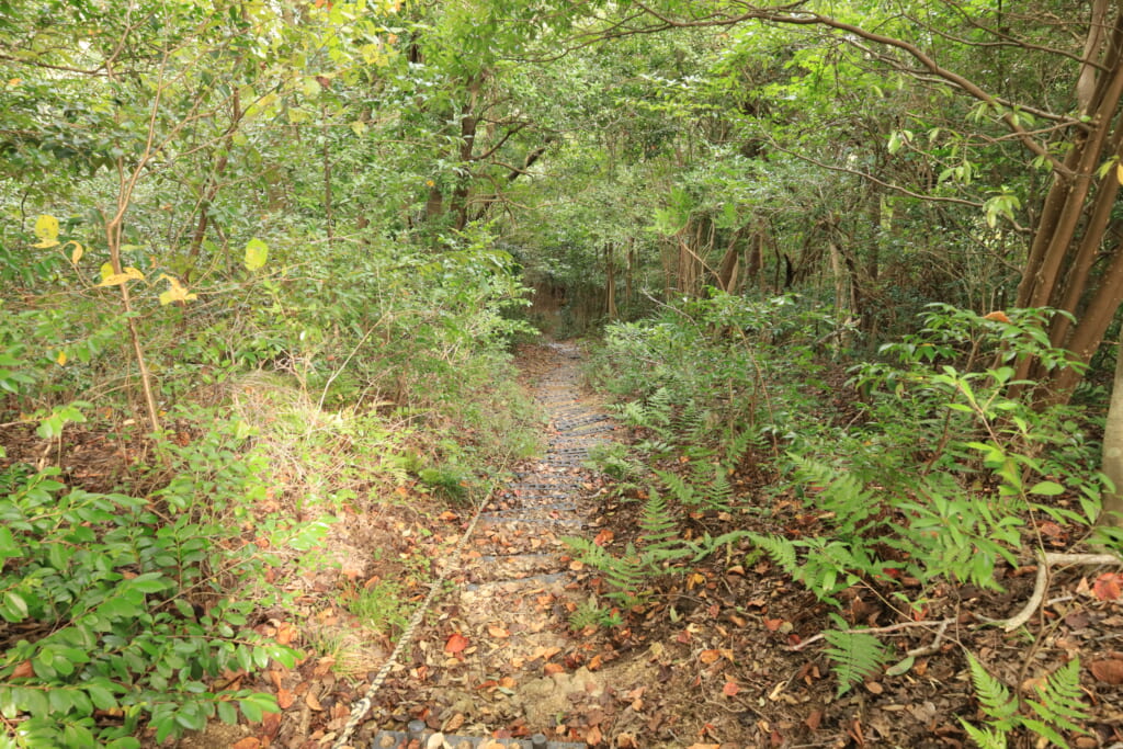 登山道／急斜面