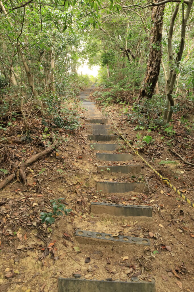 登山道／急斜面