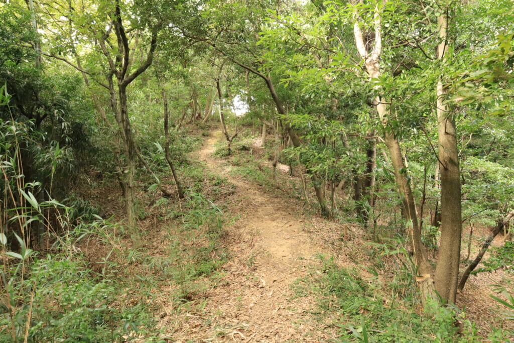 登山道からの昆売塚古墳全景