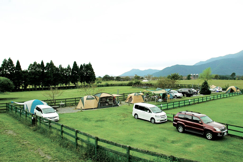 静岡県富士宮市のfieldogsGarden