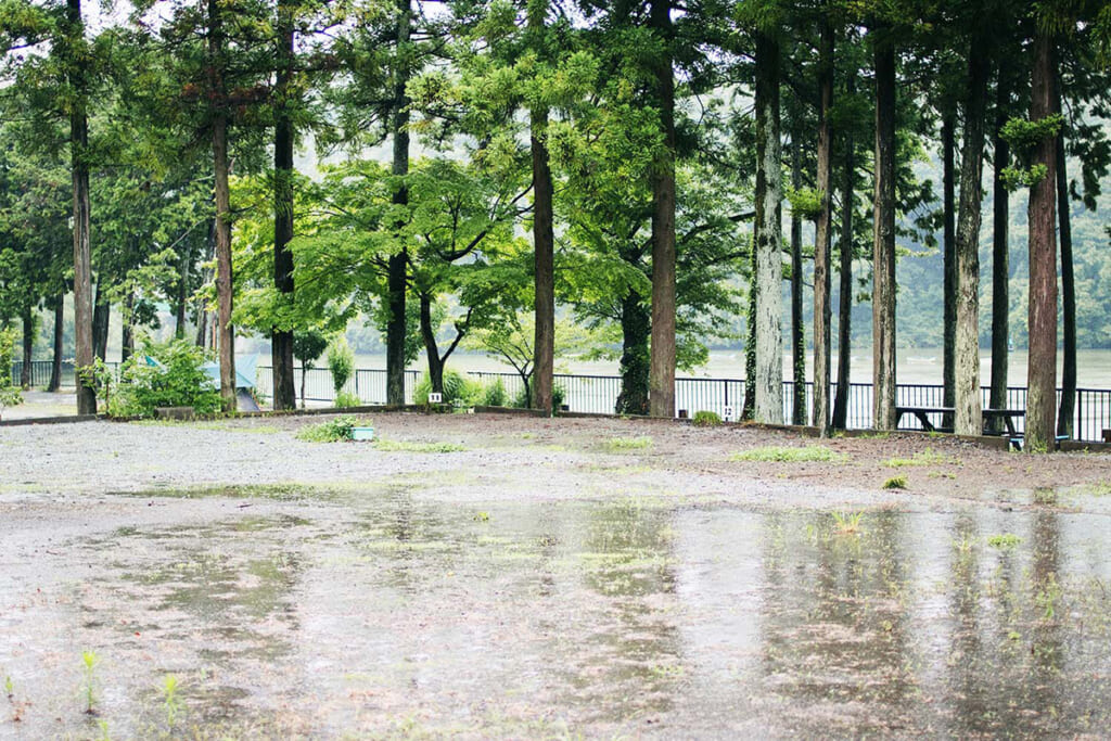 雨のキャンプ場