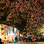 【画像】東北地方最大級のロックフェス「ARABAKI ROCK FEST.2024」が今年も開催【2024年4月27日～4月28日】 〜 画像1