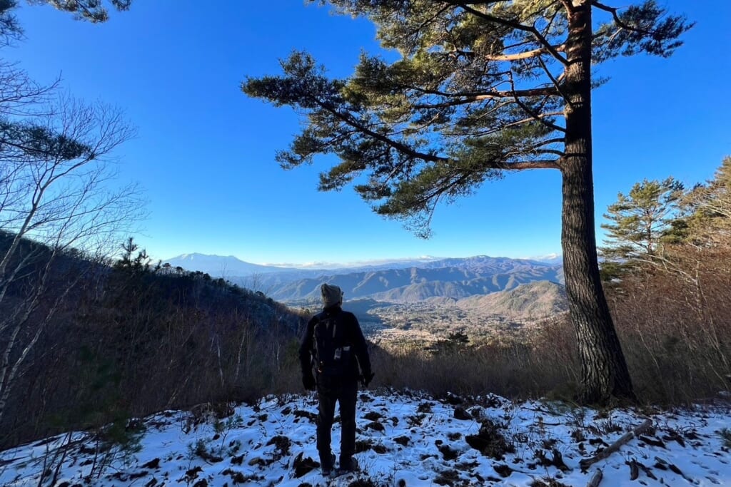 登山道