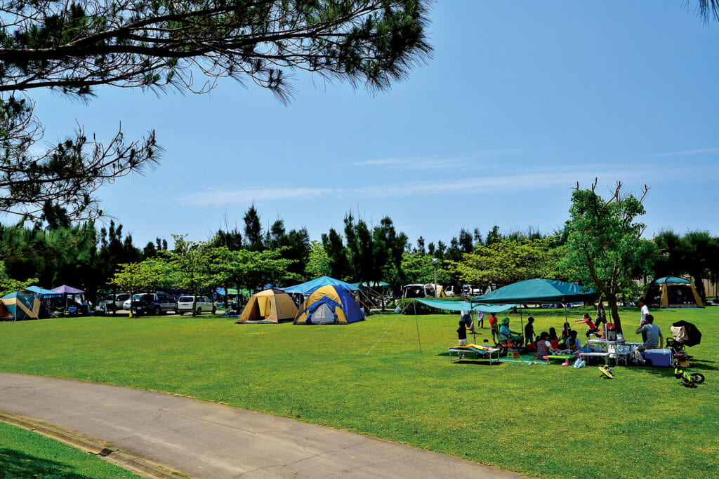 沖縄市の沖縄県総合運動公園オートキャンプ場