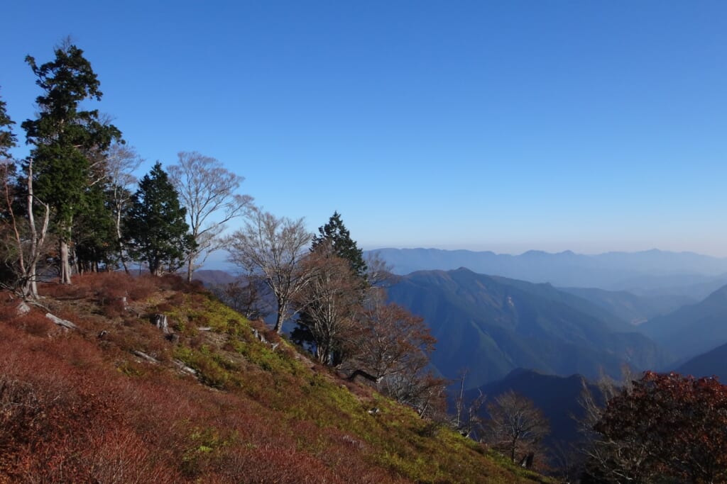 台高山脈